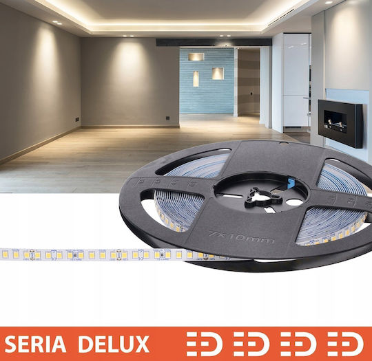 Prescot LED Strip 24V Natural White Light 10m Type SMD2835