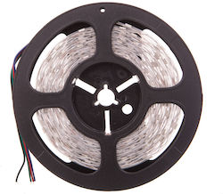 Kanlux Rezistent la apă Bandă LED 12V cu lumină RGB 5m Kanlux Rezistent la apă Bandă LED 12V cu lumină RGB 5m