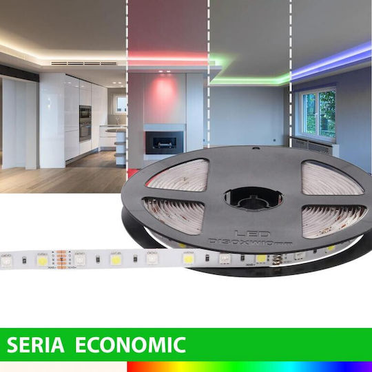 Prescot LED Strip 12V RGBW Light 5m Type SMD5050