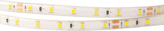 Eco Light LED-Streifen 24V Natürliches Weiß Licht 5m Typ SMD2835