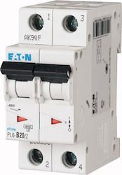 Eaton Automatic Circuit Breaker 20A Double-pole 286556