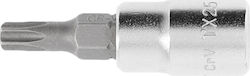 Högert Technik Μύτη Κατσαβιδιού Torx