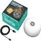 Battery Lantern for Camping