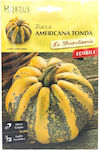 Seeds Pumpkinς Zucchini 4gr