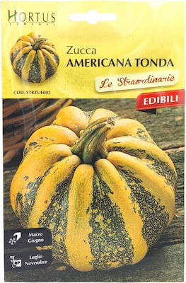 Seeds Pumpkinς Zucchini 4gr