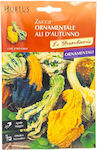 Seeds Pumpkinς Zucchini 1gr