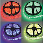 Eco Light Bandă LED RGB Lungime 5m și 30 LED-uri pe Metru SMD5050