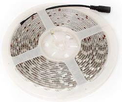 Waterproof LED Strip 12V with Cold White Light 5m
