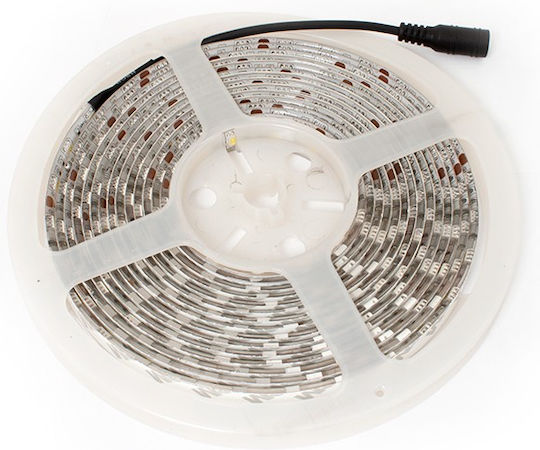 Αδιάβροχη Ταινία LED 12V Ψυχρό Λευκό Φως 5m Τύπου SMD5050