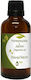 Nature & Body Αρωματικό Έλαιο Honeysuckle & Jas...