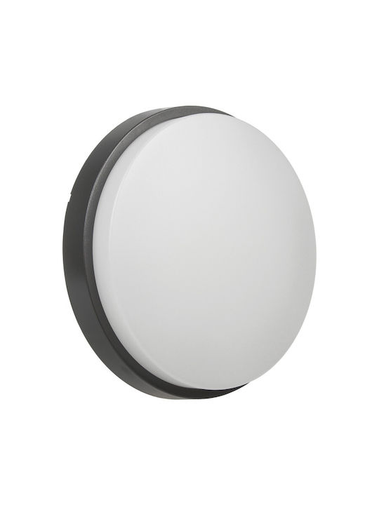 Maclean Energy Ceiling Mount Light with Integrated LED in Gray color
