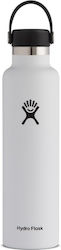 Hydro Flask Standard Mouth Bottle Thermos Stain...