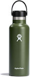 Hydro Flask Standard Mouth Bottle Thermos Stainless Steel BPA Free Green 500ml