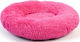 Bett Katze Fuchsie