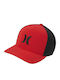 Jockey Rot