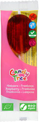 Candy Tree Lollipop Organic Gluten Free 1pcs