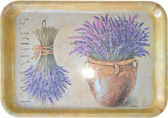 Melina's Collection Plastic Dreptunghiular Tavă de Servire cu Mânere 46x32x2cm LST-004 1buc