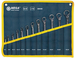 Mega Set 12 Polygon Wrench