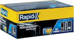 Rapid Staples 5000pcs