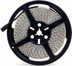 Waterproof LED Strip 12V with Cold White Light 5m