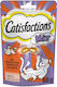 Catisfactions Mix Cat Treats with Chicken for Adult Cats 60gr