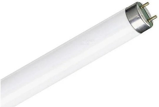 Olympia Electronics Лампа Луминесцентна с Форма T5 8W
