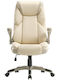 Office Chair with Adjustable Arms Beige Eureka Ergonomic