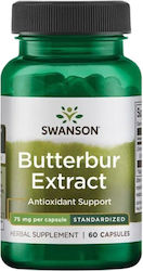 Swanson Butterbur Extract 75mg 60 κάψουλες