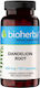 Bioherba Dandelion Root 350мг 100 капси