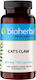 Bioherba Cat's Claw 255мг 100 капси