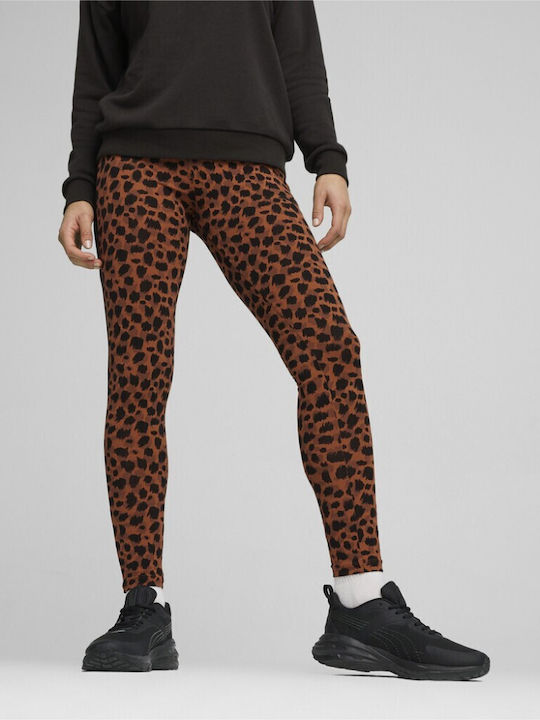 Puma Frauen Leggings Teak