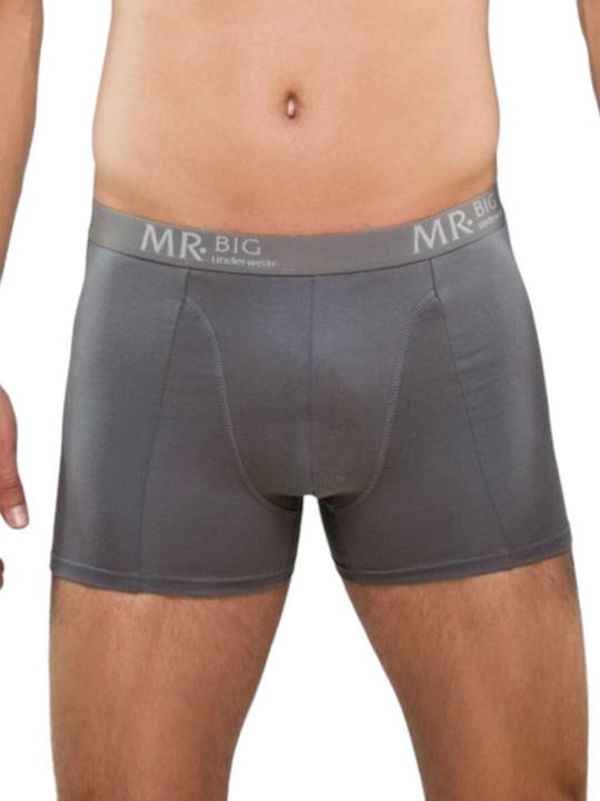 Mr.Big Herren Boxershorts Grey 1Packung