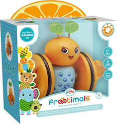 Frootimals Orangiefly for 12++ Months Frootimals Orangiefly for 12++ Months