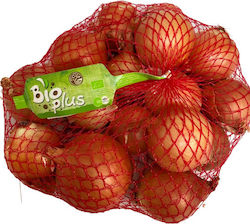 Ceapă Organic