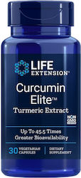 Life Extension Curcumin Elite Turmeric Extract ...