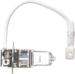 Neolux Standard Λάμπα H3 Αλογόνου Θερμό Λευκό Neolux Standard Λάμπα H3 Αλογόνου Θερμό Λευκό