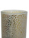 L'arte Jaguar Candle Holder Glass in Gray Color 9x9x10cm 1pcs
