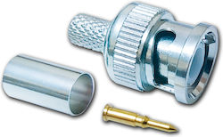 BNC male Connector 1pc