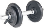 Sportmann Dumbbell 1x10kg