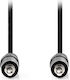 Nedis 3.5mm Jack Cable 3.5mm Male - 3.5mm Male Black 10m CAGL22000BK100