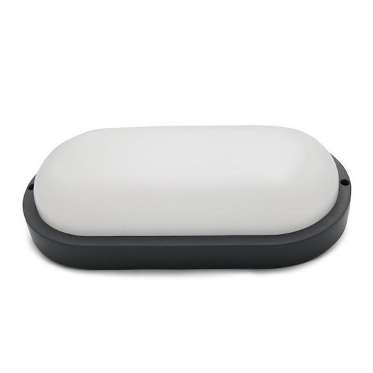 Adeleq Wall-Mounted Outdoor Turtle Light LED IP54 18W with Natural White Light 26x13.5εκ.