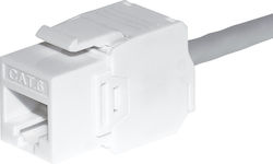 Netrack Keystone 105-37 1 Stück Netrack Keystone 105-37 1 Stück