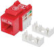Intellinet Keystone 210478 RJ45 Cat.5e 1τμχ
