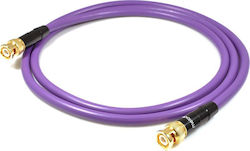 Melodika Cable 10m 1pcs