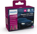 Philips Lămpi Autoturismului H8 / H9 / H16 / H11 Canbus LED 6000K Alb rece 12V 16W 2buc