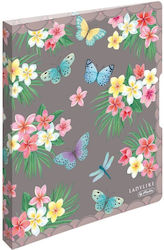 Herlitz Ντοσιέ με 2 Κρίκους για Χαρτί A4 Πολύχρωμο Herlitz Ντοσιέ με 2 Κρίκους για Χαρτί A4 Πολύχρωμο