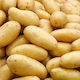NitroFarm Σπόροι 5kg