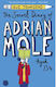 The Secret Diaries Of Adrian Mole Aged 13 3/4