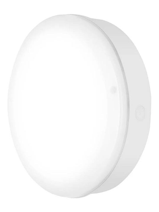Ledvance Επιτοίχια Εξωτερική Πλαφονιέρα LED IP65 15W με Φυσικό Λευκό Φως