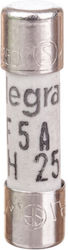 Legrand Cylindrical Melting Fuse